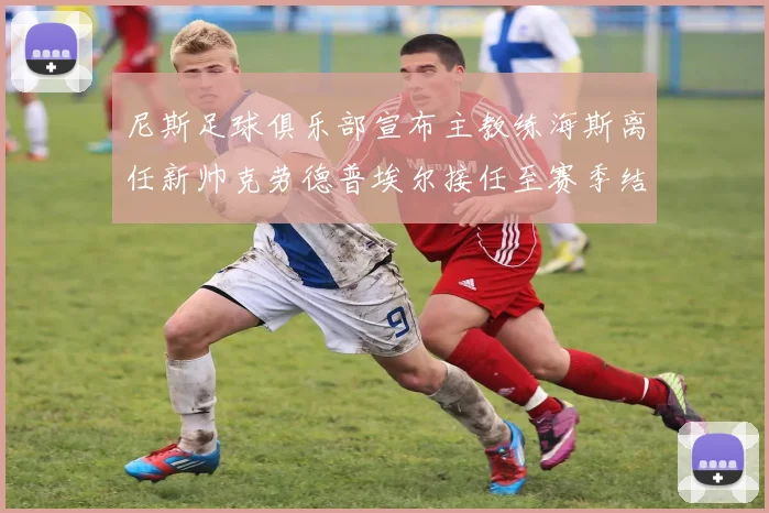 尼斯足球俱乐部宣布主教练海斯离任新帅克劳德普埃尔接任至赛季结束