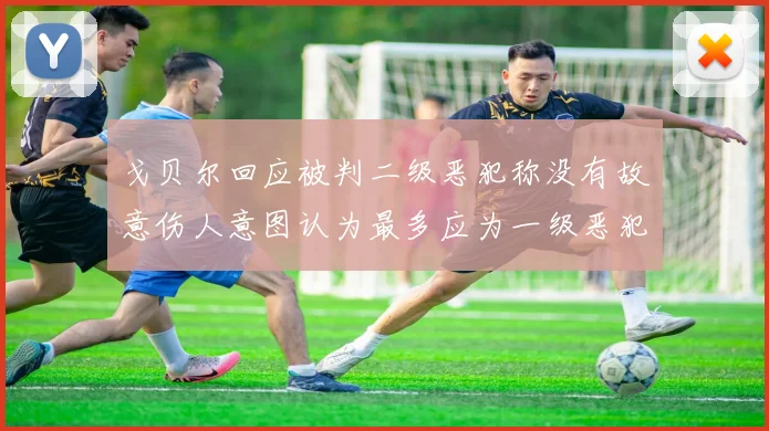 戈贝尔回应被判二级恶犯称没有故意伤人意图认为最多应为一级恶犯