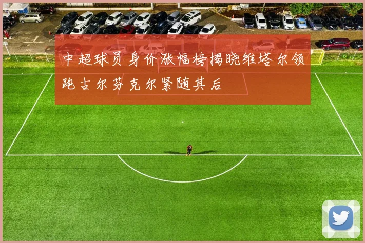 中超球员身价涨幅榜揭晓维塔尔领跑古尔芬克尔紧随其后