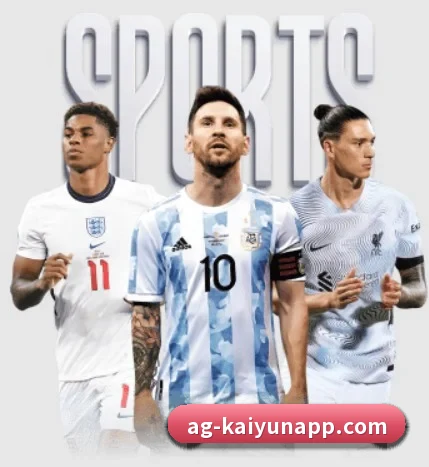 五大服务分区,信息按项目分类 | kaiyun